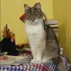 Отзыв от Дарья Плотникова
